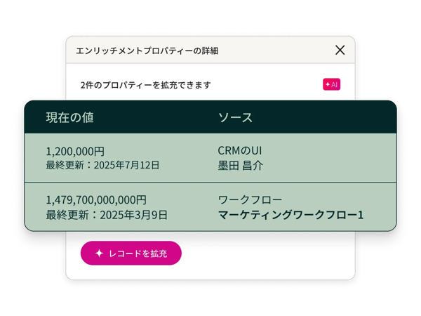 エンリッチメント対象のプロパティー数、対象プロパティー、現在の値、ソースが表示される、エンリッチメントプロパティーの詳細使用可能なクレジットの数が表示されます。