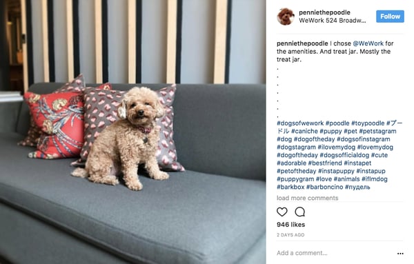 instagram-marketing-16