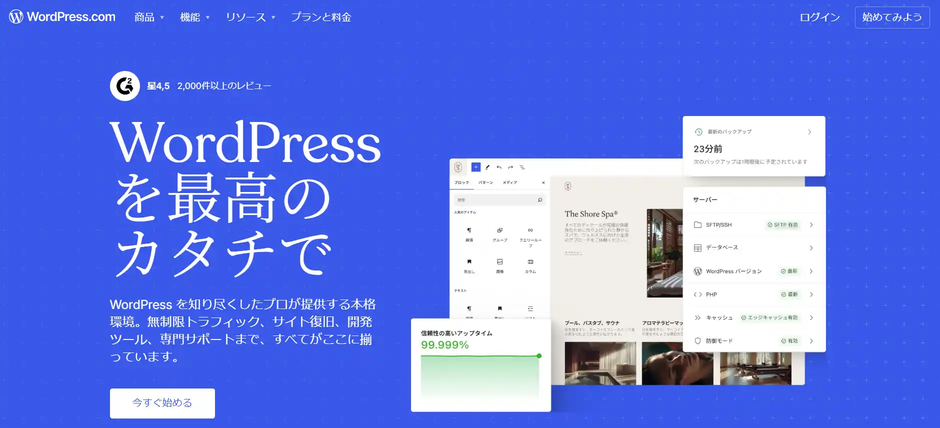 WordPress-1